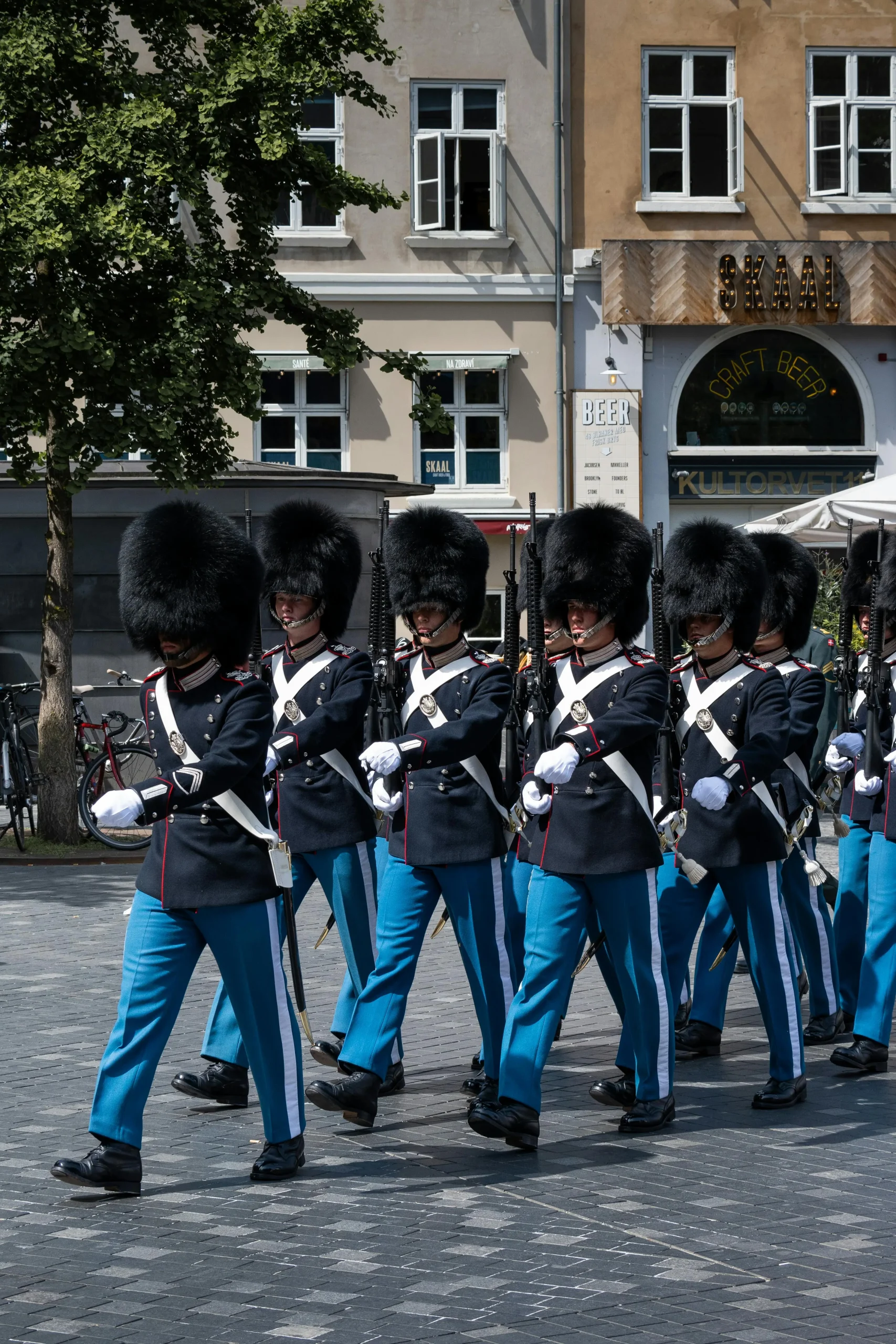 Study_in_Denmark_from_Nepal- Changing_the_Royal_Guard_Ceremony
