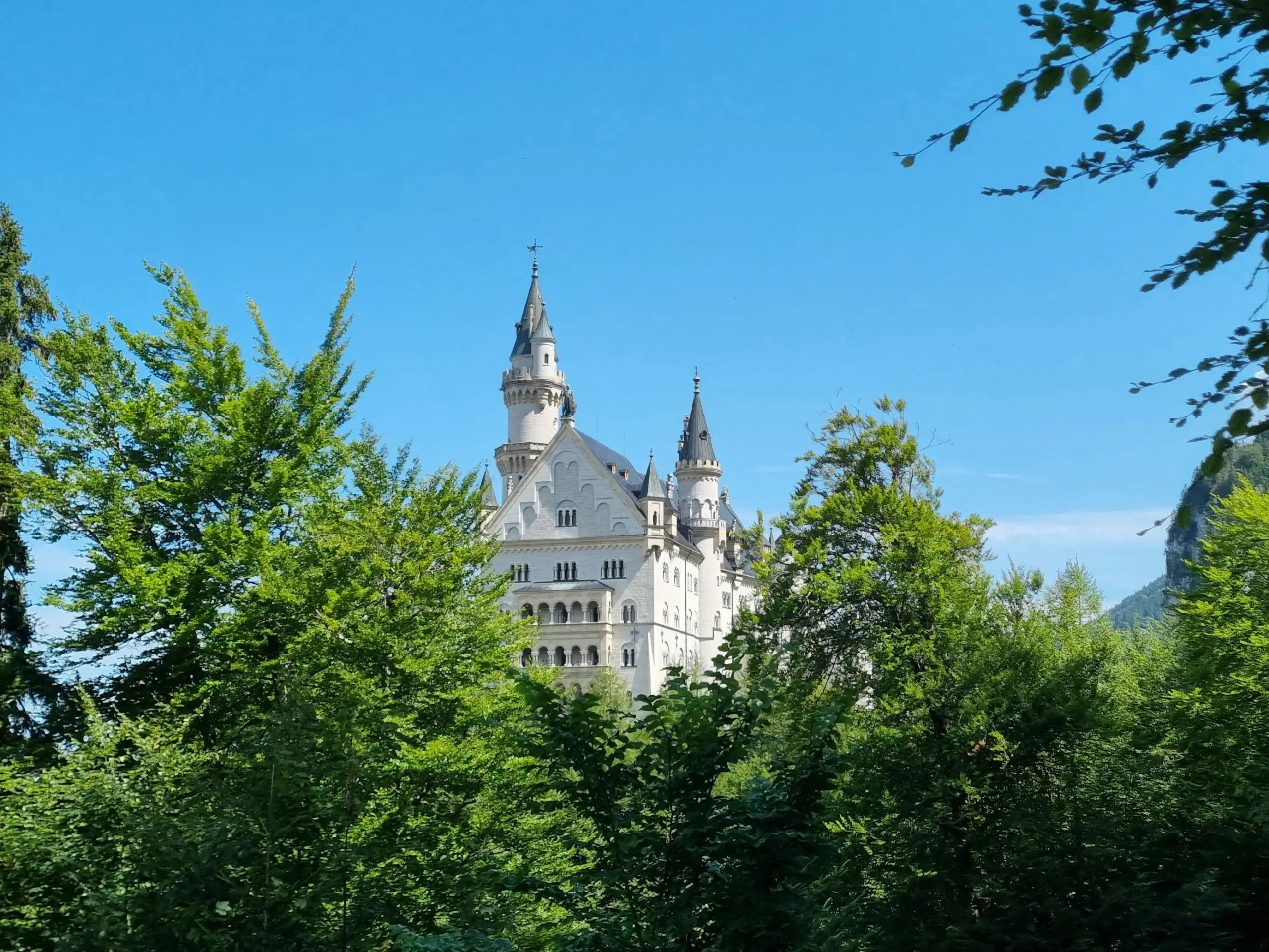 Studying in Germany from Nepal