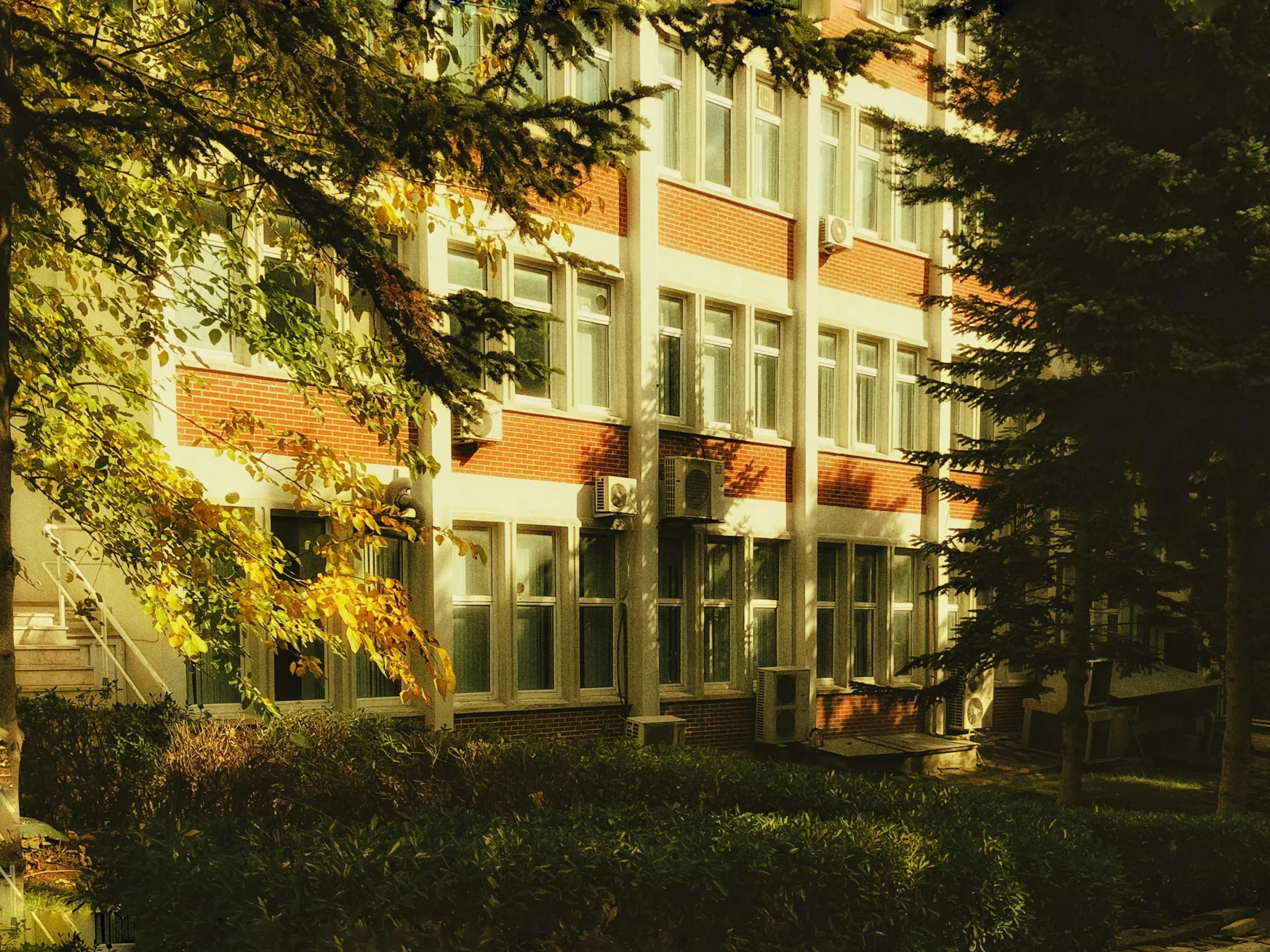 Universities in New Zealand