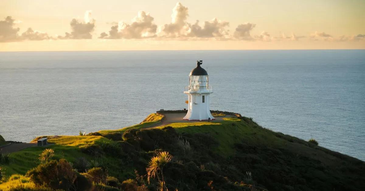 Nursing in New Zealand